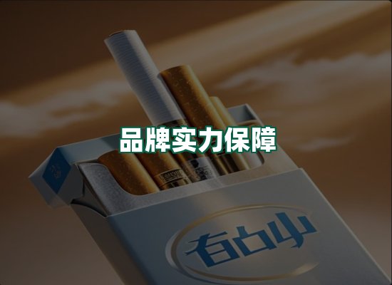 核心优势